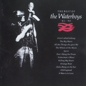 The Waterboys - Fisherman's Blues