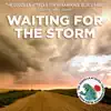 Waiting For the Storm (feat. Jenny Stevens) - Single album lyrics, reviews, download
