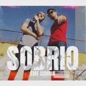 Sobrio artwork