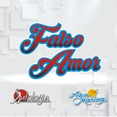 Falso Amor artwork