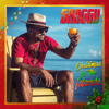 Christmas in the Islands (Deluxe Edition) - Shaggy