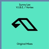 Vortex (Extended Mix) artwork
