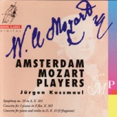 Symphony No. 29 in A, K. 201: I. Allegro Moderato artwork