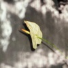 Patches - Sweet By and By
