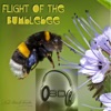 Flight of the Bumblebee - Nikolai Rimsky-Korsakov - 8D Binaural Sound (8D Binaural Sound - Music Therapy) - Single