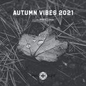 Autumn Vibes 2021 (DJ Mix) artwork