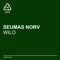 Wilo (Radio Edit) - Seumas Norv lyrics