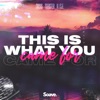 This Is What You Came For - Single