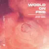 World on Fire - Single album lyrics, reviews, download