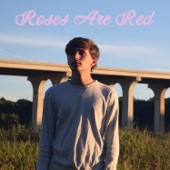 Roses Are Red (Violets Are Blue) artwork