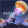 Perfect 10 (feat. Heather Sommer) - Single
