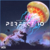 Perfect 10 (feat. Heather Sommer) artwork