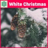 Jackson 5 - J5 Christmas Medley