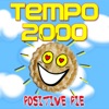 Positive Pie - Single