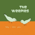 The Weepies, Deb Talan & Steve Tannen - Not Your Year