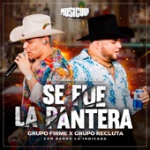 Se Fue La Pantera (En Vivo) artwork