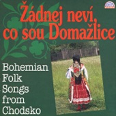 Žádnej Neví, Co Sou Domažlice (Bohemian Folk Songs From Chodsko) artwork