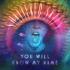 You Will Know My Name - Single