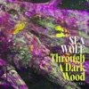 Through A Dark Wood (Deluxe)