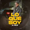 Lo Que Soy - Single album lyrics, reviews, download