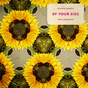 Calvin Harris - By Your Side (feat. Tom Grennan) - 排舞 編舞者