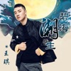王琪 - 碧海潮声