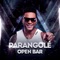 Open Bar - Parangolé lyrics