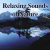 Relaxing Sounds of Nature album lyrics, reviews, download