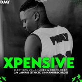 Xpensive Clections, Vol. 41 (Mixed and Compiled by DJY Jaivane) artwork