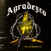 Agradezco artwork