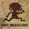 Povo Brasileiro artwork