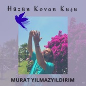 Hüzün Kovan Kuşu artwork