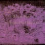 Into Dust by Mazzy Star