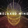 Relaxed Mind: Soothing Music for Meditation, Serenity Zen, Free Spirit, Relaxed Body album lyrics, reviews, download