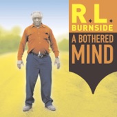 R. L. Burnside - Detroit Boogie, Pt. 2