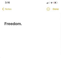 FREEDOM. cover art