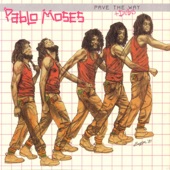 Pablo Moses - Proverbs Extractions