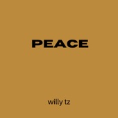 Peace (Instrumental Version) artwork