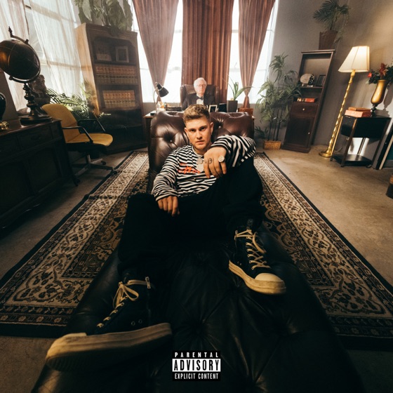 Cover artwork for PLEASURES