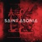 Trying To Catch Up With the World - Saint Asonia lyrics