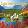 Como Cordero yo Saltare - Single