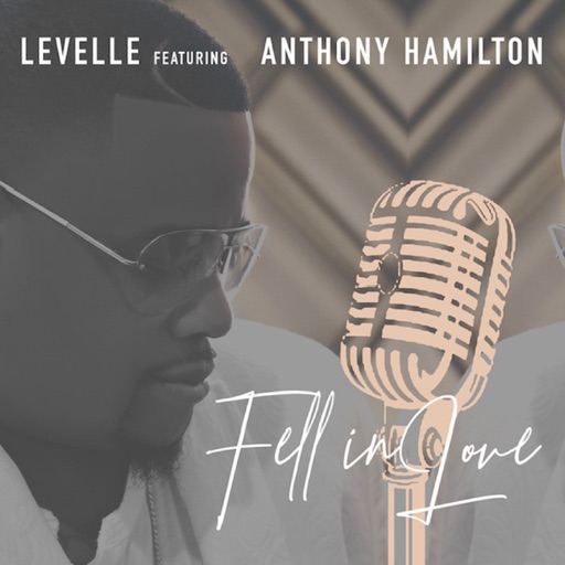 Art for Fell In Love (feat. Anthony Hamilton) by Levelle