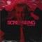 Screaming - Buzz William lyrics