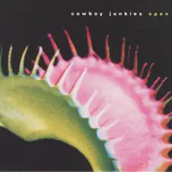 Open by Cowboy Junkies album reviews, ratings, credits