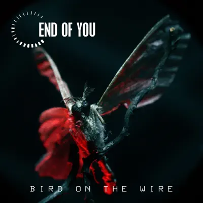 Bird on the Wire - Single - End of You