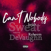 Can't Nobody (feat. Raheem DeVaughn) artwork