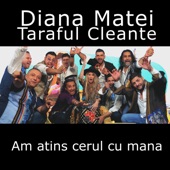 Am Atins Cerul Cu Mana (feat. Taraful Cleante) artwork