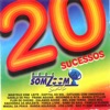 20 Sucessos, 1998