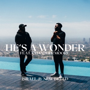 He's a Wonder (Studio Version) [feat. Chandler Moore] - Single