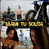 Mami Tu Solita artwork